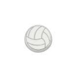 Voleybol Topu