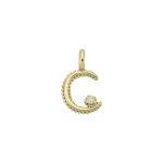 Moon Charm