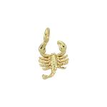 Astro Scorpius Charm