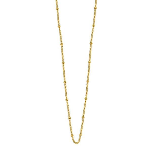 Dafne Zincir - Altın - 60+5 cm