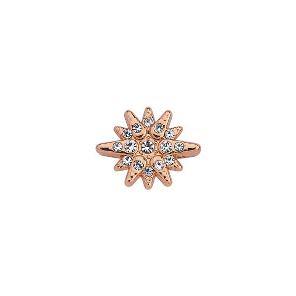 Slider Charm Kutup Yıldızı - Rose