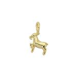 Astro Capricorn Charm