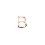 B Harfi - Rose