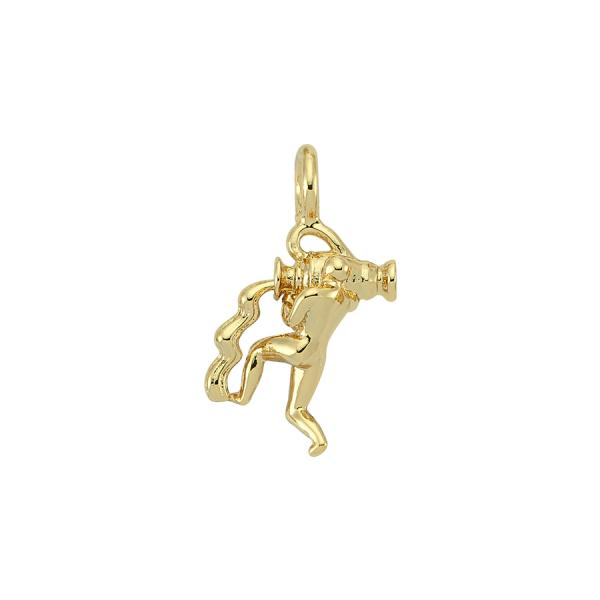 Astro Aquarius Charm