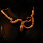 Serpent's Spell Necklace