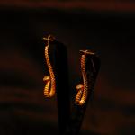 Serpent's Spell Earring